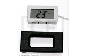 Digital remote thermometer