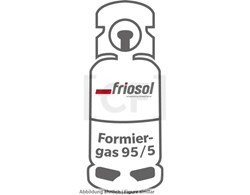 Rented Cylinder trace gas/forming gas