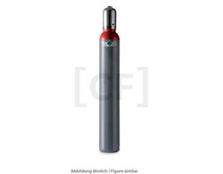 Tracer gas/forming gas Cylinder